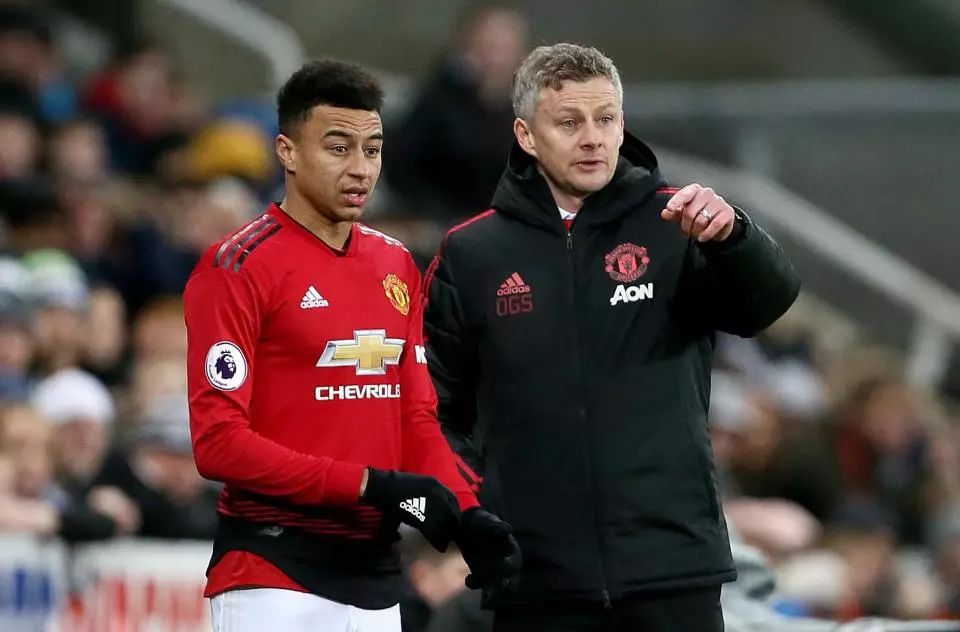 球队的教练 球队的教练